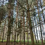 Nad Jeziorem - Zalesie 7d Zalesie (Olsztyn)