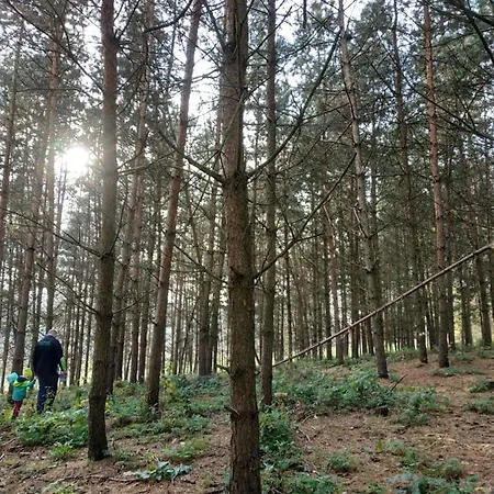 Zalesie - Wyjątkowe Nad Jeziorem Dom wakacyjny Zalesie (Olsztyn)