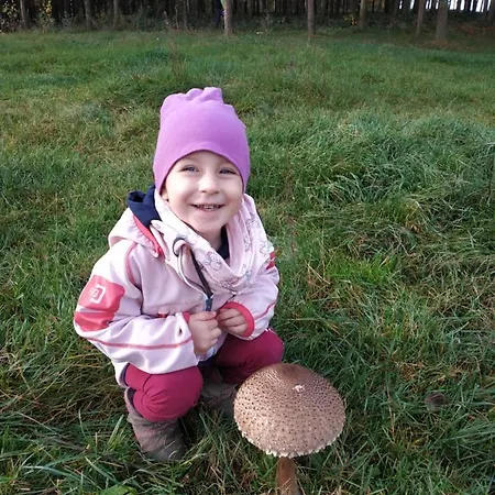 Holiday home Nad Jeziorem - Zalesie 7d