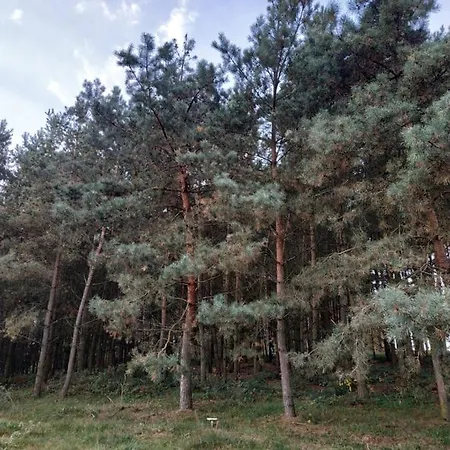 Nad Jeziorem - Zalesie 7d Holiday home