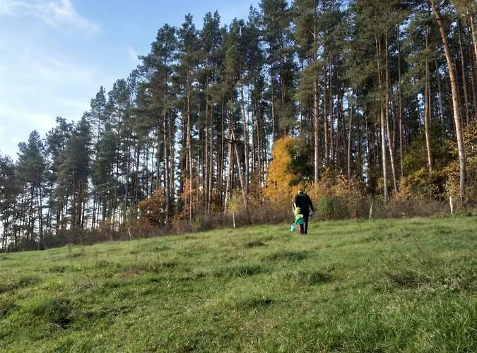 Дом отдыха Nad Jeziorem - Zalesie 7d Zalesie (Olsztyn)