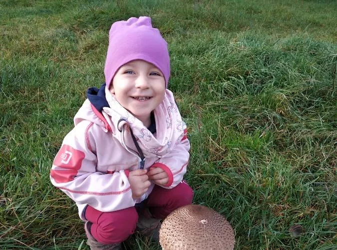 Дом отдыха Nad Jeziorem - Zalesie 7d