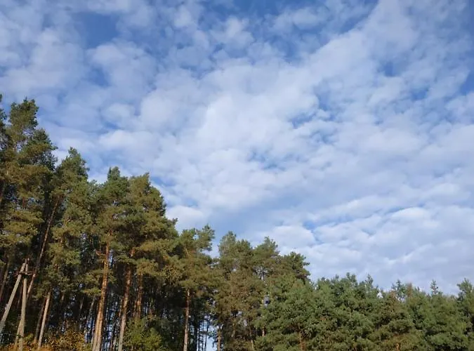 Nad Jeziorem - Zalesie 7d Дом отдыха *